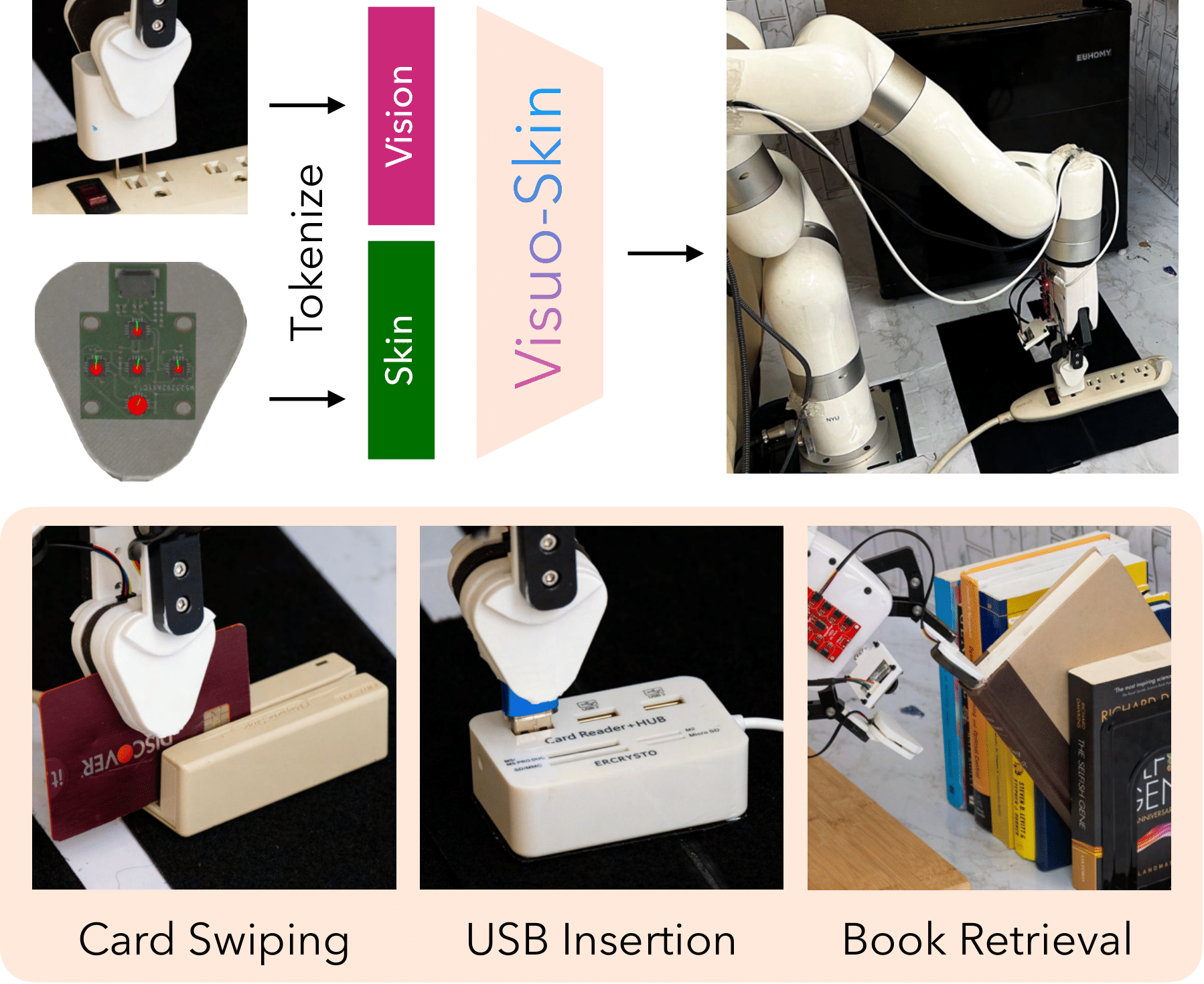 ViSk Figure 1